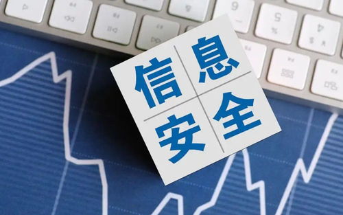 2025年国家网络安全宣传周 聚焦网络与信息安全软件开发