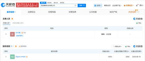 美团在昆明成立摩骑科技，注册资本2000万美元专注网络安全软件开发